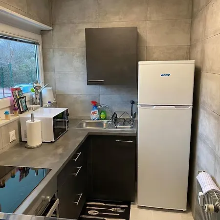 Cosy 29 M2 A 5 Min Basel Parking Gratuit アパート サン・ルイ