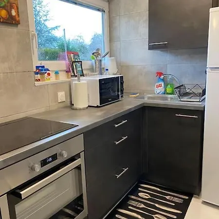 アパート Cosy 29 M2 A 5 Min Basel Parking Gratuit